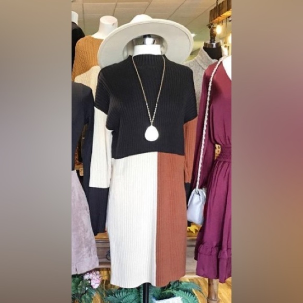 nwt Ribbed Colorblock Sweater Dress - Picture 2 of 9